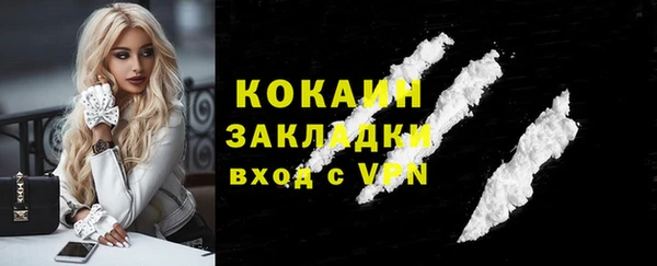 тгк Алзамай