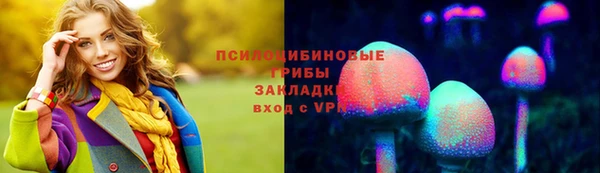сатива Алексин