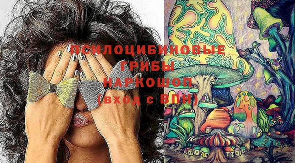 тгк Алзамай