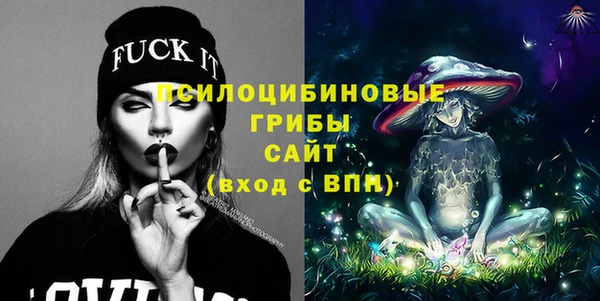 тгк Алзамай