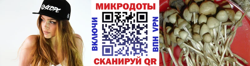 закладки  Ардатов  hydra tor  Псилоцибиновые грибы Psilocybe 