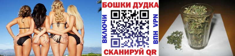 Шишки марихуана конопля kraken tor Ардатов